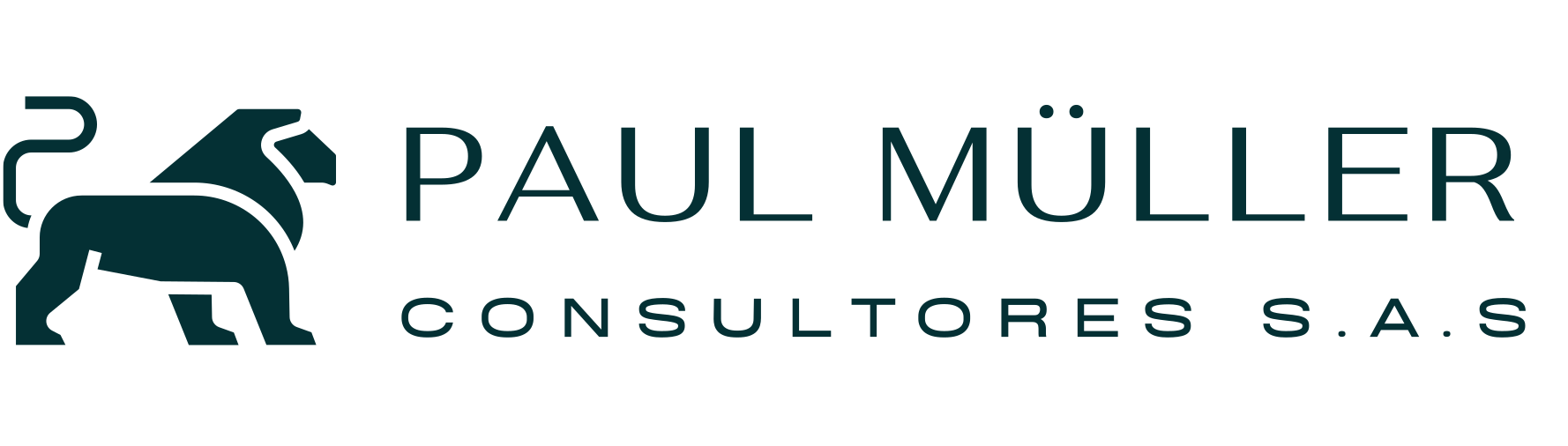 logo paul muller consultores